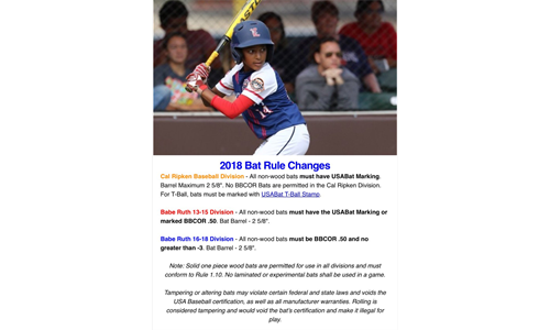 2018 USA Bat Standards****NEW*****