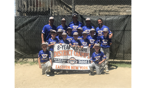 2018 8U NENY District 2 Champions!